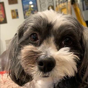 Meet your Posher, Lisa